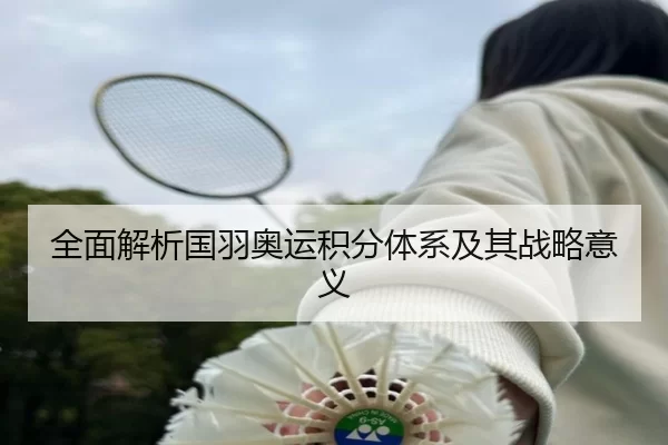 全面解析国羽奥运积分体系及其战略意义
